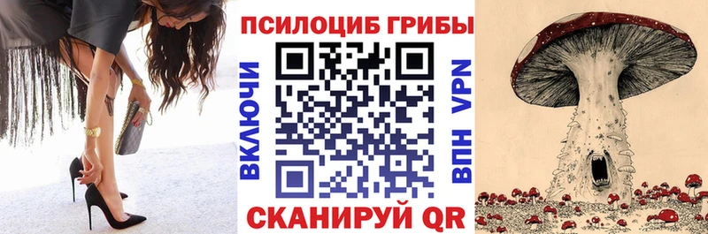 купить наркотики сайты  Пенза  Псилоцибиновые грибы прущие грибы 